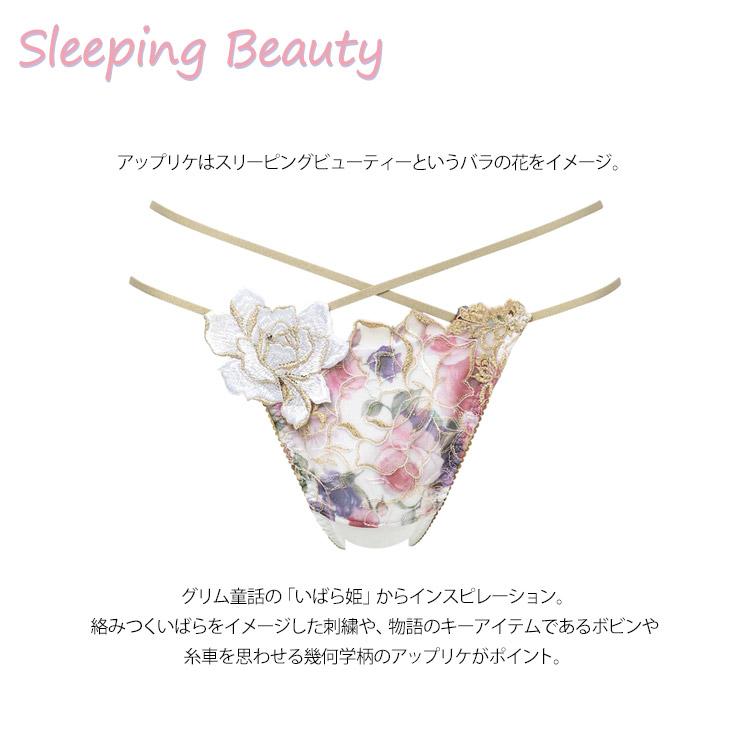 サルート（SALUTE） ワコール 17G Tバックショーツ ソング タンガ