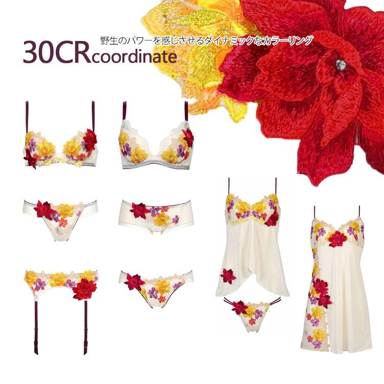 サルート（SALUTE） ワコール 30G Tバックショーツ 単品 レディース