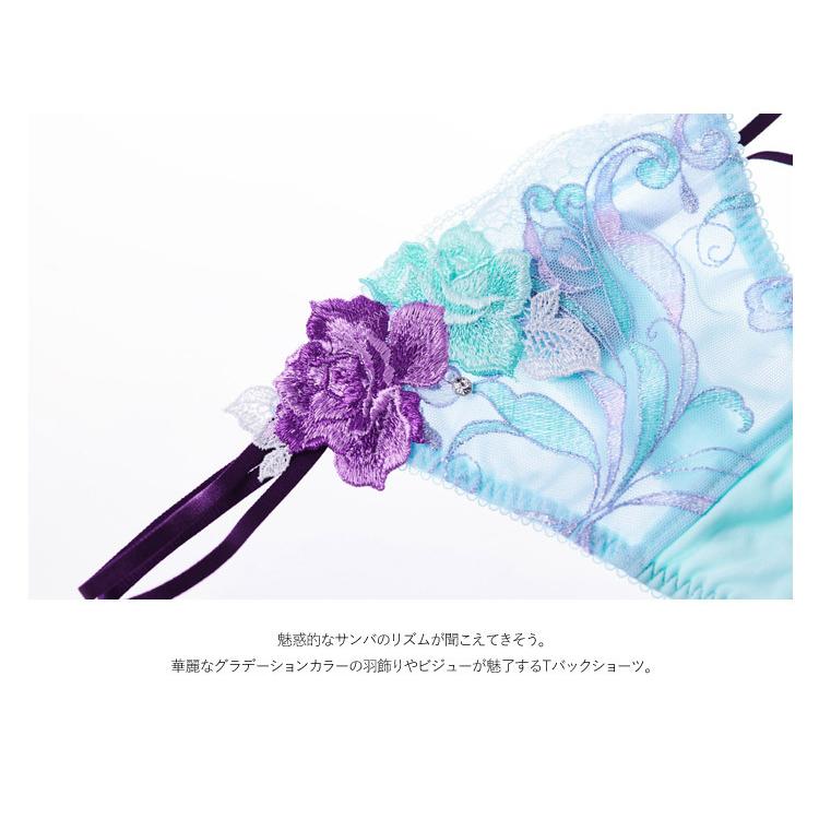 salute♥サルート♥店舗限定♥98G♥ヴィクトリア♥ノーマルショーツL①LB ptj466col.jpg