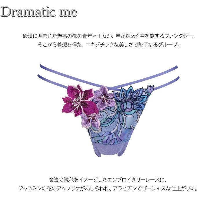 サルート ワコール 80G Tバック ショーツ 新作 セール BTJ480