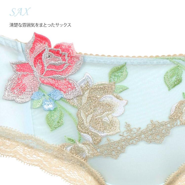 バルト海♡レア♡サルート♡新品♡ボーイレングス♡ローライズ♡M限定♡62 サルート（SALUTE） ワコール 11G ボーイレングスショーツ ローライズ