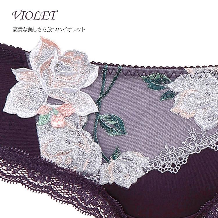 バルト海♡レア♡サルート♡新品♡ボーイレングス♡ローライズ♡M限定♡62 サルート（SALUTE） ワコール 11G ボーイレングスショーツ ローライズ