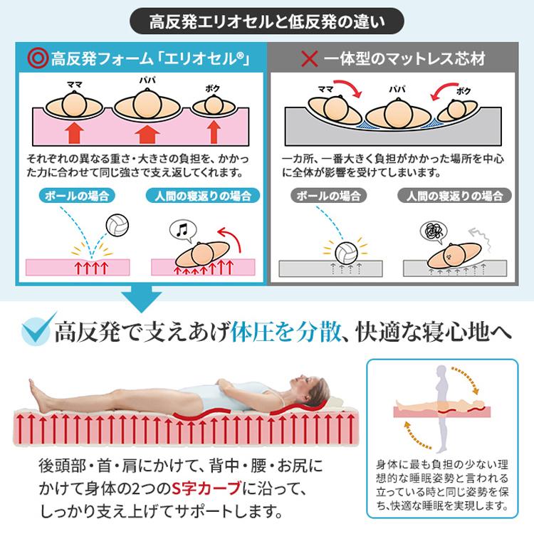magniflex（マニフレックス） ベッドマットレス モデル246 クイーン 幅