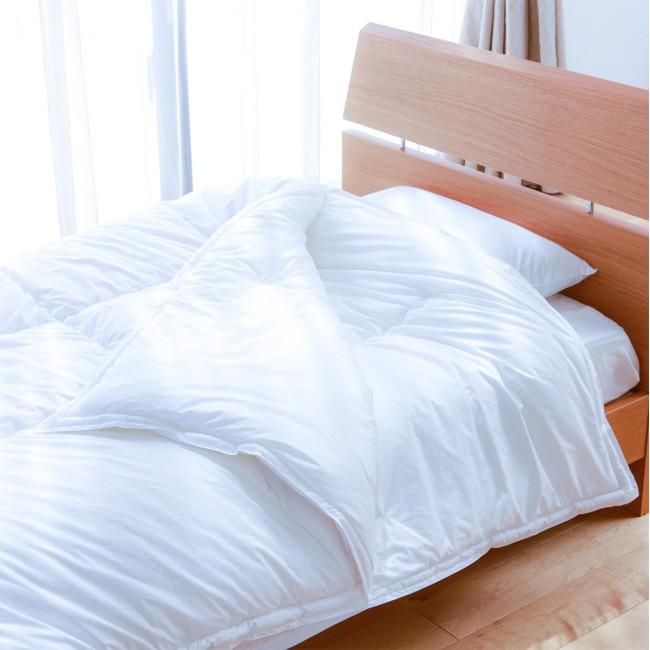 昭和西川 SNフレッシュプロ ウォッシャブル 2枚合わせ掛けふとん