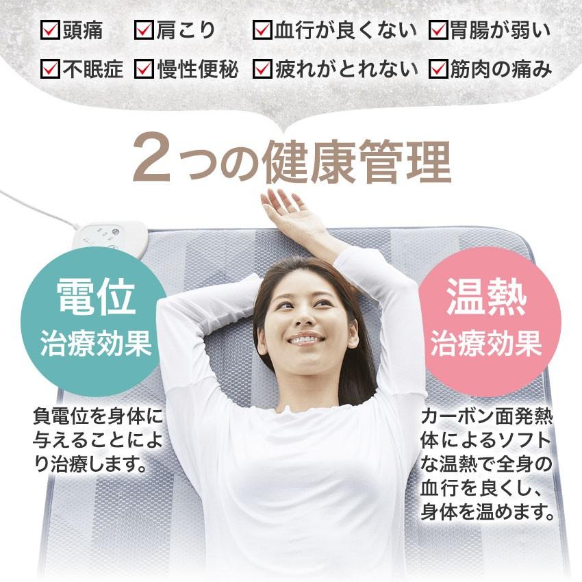 西川 専用カバー付き ローズテクニー LSII 90cm幅 家庭用医療機器 電位  