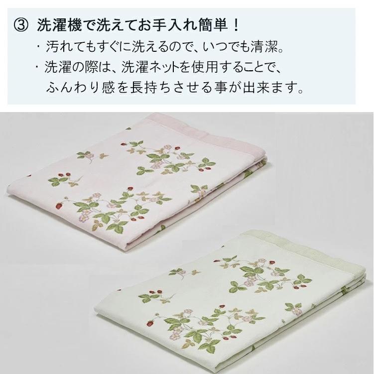 西川（nishikawa） ウェッジウッド タオルケット シングル 綿100
