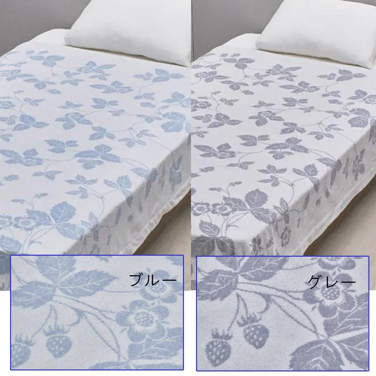 WEDGWOOD（ウェッジウッド） タオルケット 西川 シングル WW5602 今治