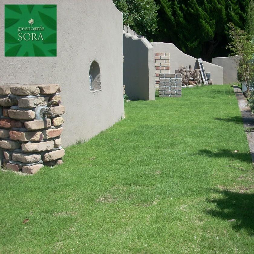 姫高麗芝 6平米 Belle Ile Nature Org