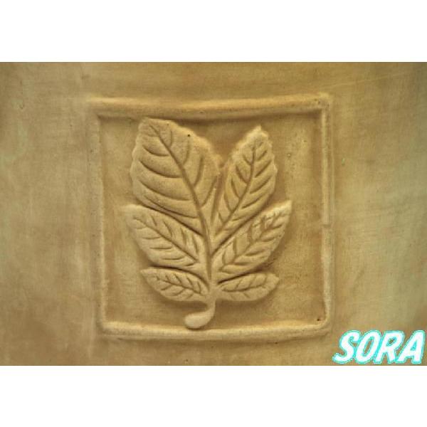 ショコラ　トールポット　L 