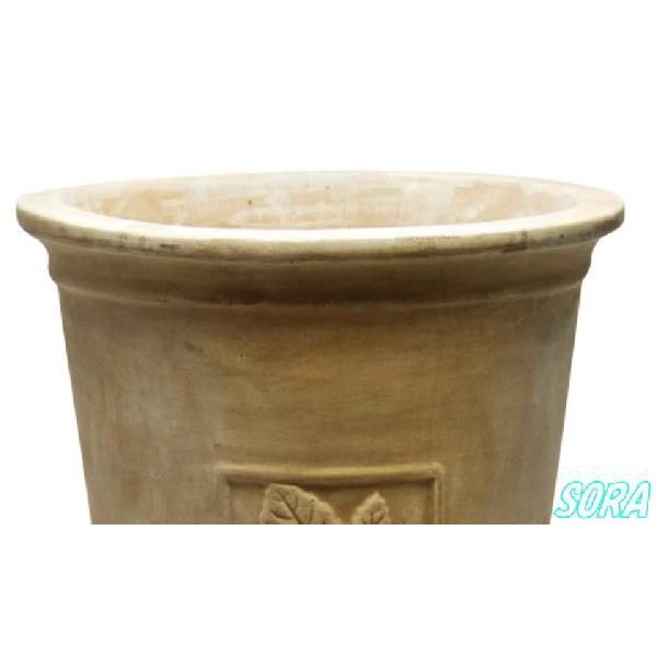 ショコラ　トールポット　L 