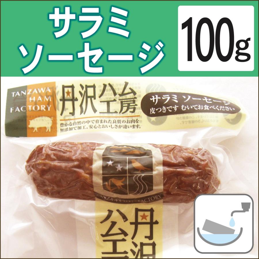 国内正規品 無添加惣菜 サラミ 丹沢高原豚 サラミソーセージ 100g ポイント消化
