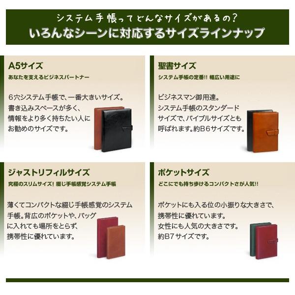 ダ・ヴィンチ ダ・ヴィンチグランデ Davinci Grande / ピッグ