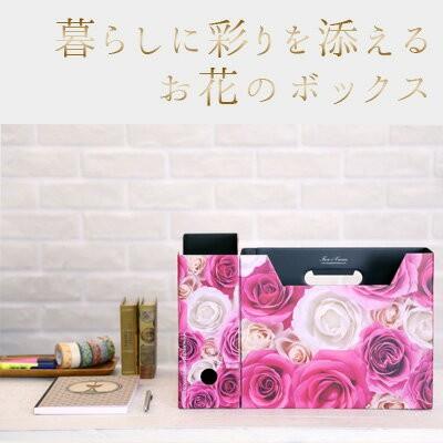 ファイルボックス A4 横 エトランジェ ディ コスタリカ 花柄 ファイル