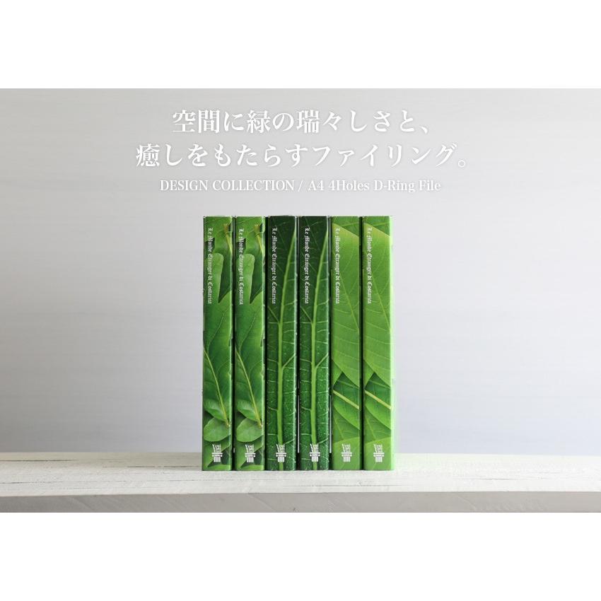 etranger di costarica（エトランジェ・ディ・コスタリカ） etranger