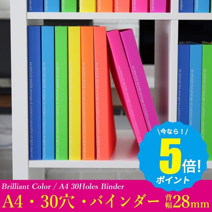 エヴァ 当選品 非売品限定 オトナバインダー 専用ファイルバインダー エヴァ 当選品 オトナバインダー クリアプレート専用ファイル