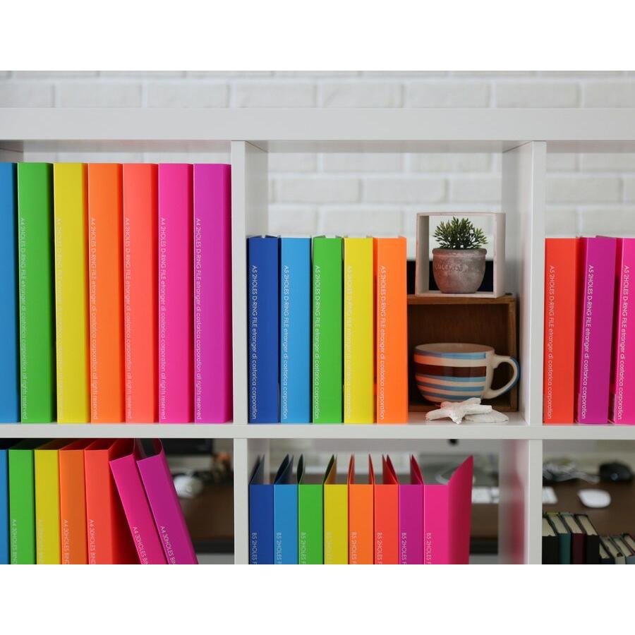 バインダー A4 30穴 エトランジェ ディ コスタリカ O-リングバインダー