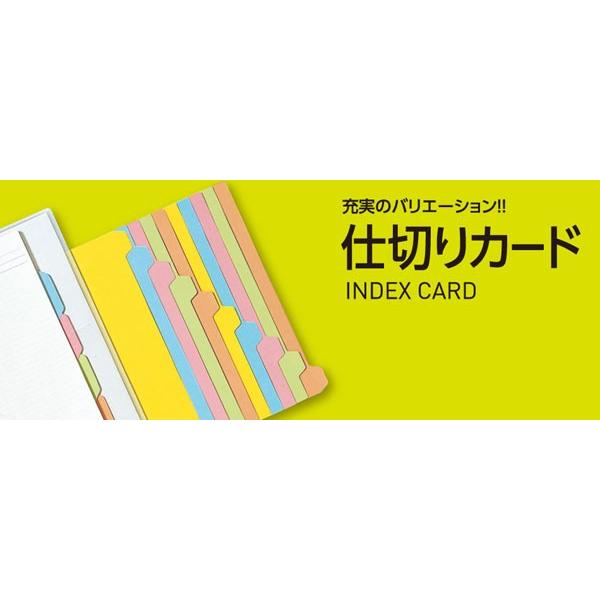 KOKUYO（コクヨ） コクヨ / カラー仕切カード A4 S型 2穴