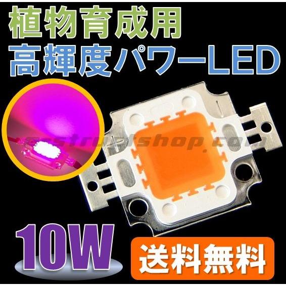 【送料無料】 植物 栽培 育成用 １０Ｗ 高輝度 パワー ＬＥＤ 大型 チップ 素子 赤 青 発光 | 