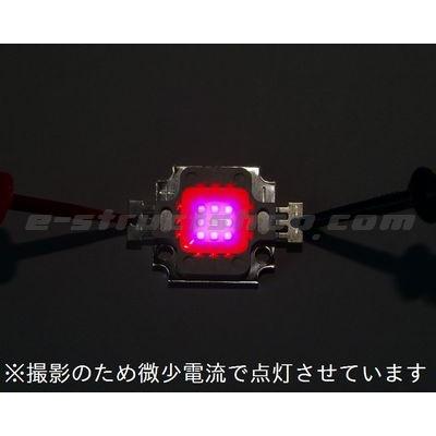 【送料無料】 植物 栽培 育成用 １０Ｗ 高輝度 パワー ＬＥＤ 大型 チップ 素子 赤 青 発光 |  | 03