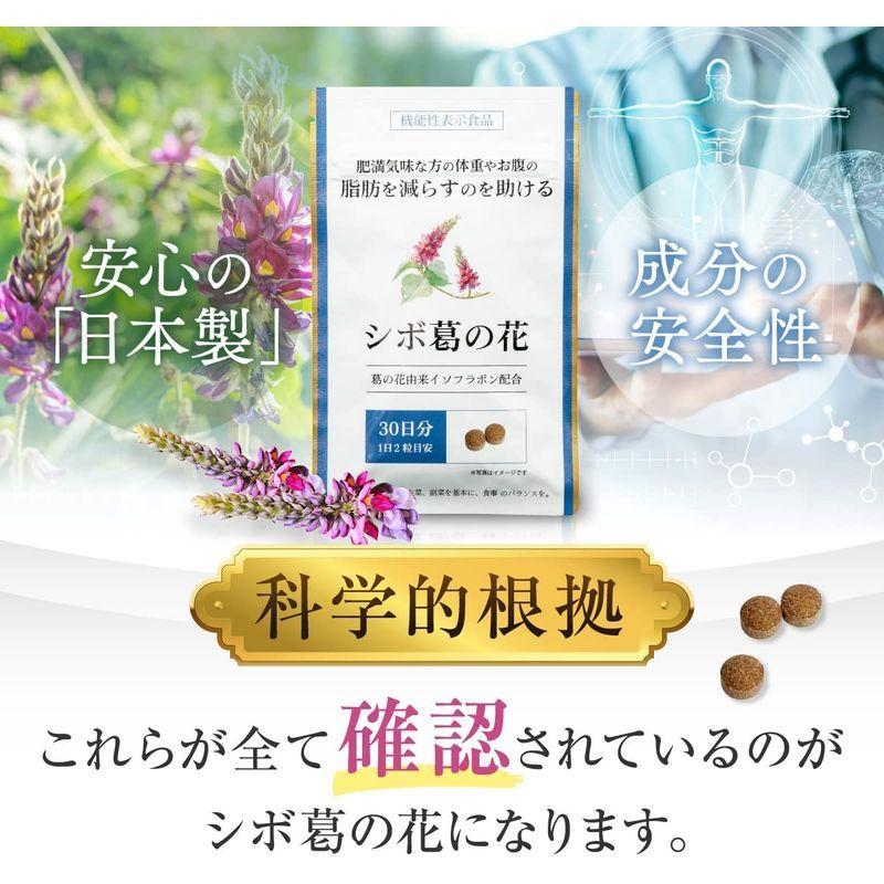 シボ葛の花 葛の花イゾフラボン ダイエット サプリメント 30日分｜e-susou｜08