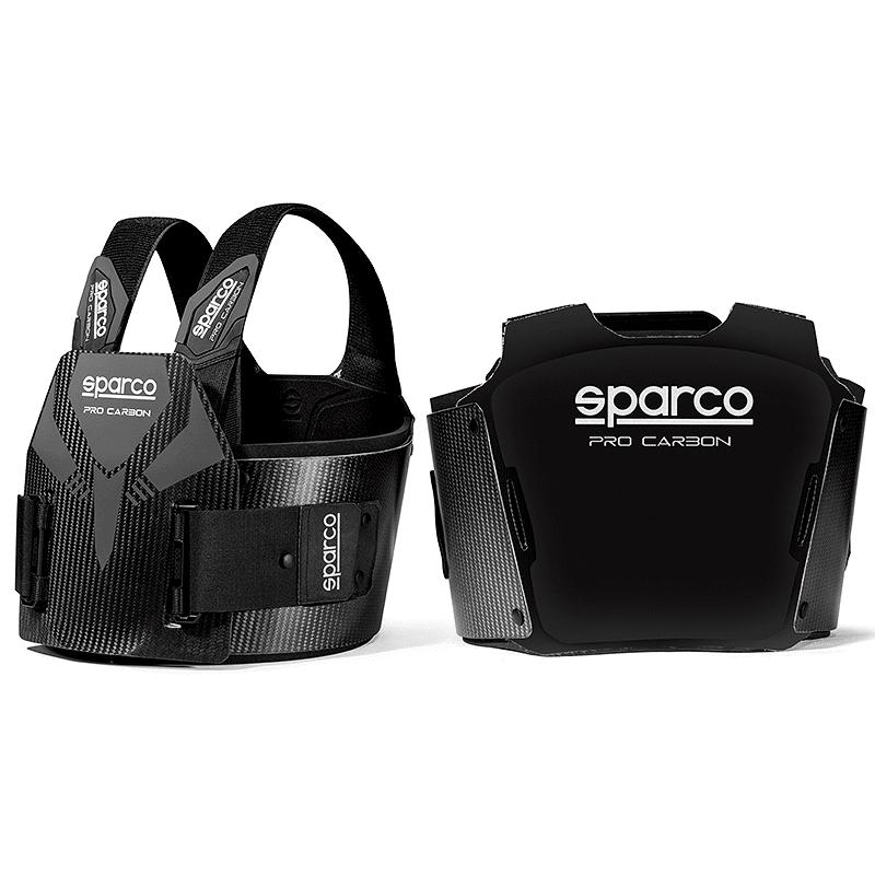 RIB PROTECTOR：PRO-CARBON_1