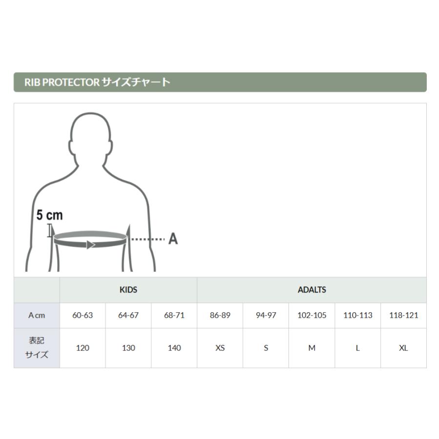 RIB PROTECTOR：PRO-CARBON_3