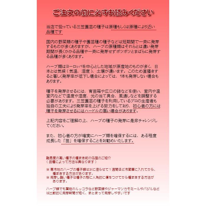 エキナセア パープレア ハーブの種 ネコポス メール便 可 E ティザーヌ 通販 Yahoo ショッピング