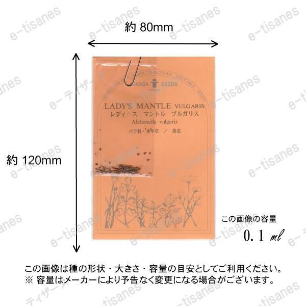 レディースマントル ブルガリス ハーブの種 ネコポス メール便 可 E ティザーヌ 通販 Yahoo ショッピング