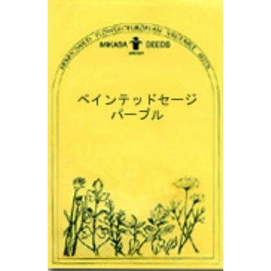 ペインテッドセージ パープル ハーブの種 ネコポス メール便 可 E ティザーヌ 通販 Yahoo ショッピング