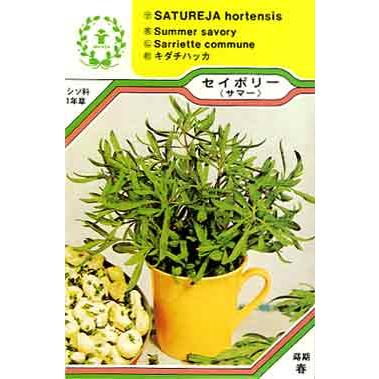 セイボリー サマー ハーブ 西洋野菜の種 ネコポス メール便 可 E ティザーヌ 通販 Yahoo ショッピング
