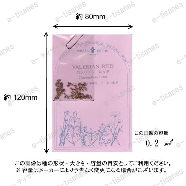 バレリアン・レッド/ハーブの種【ネコポス(メール便)可】 :71343:e-ティザーヌ - 通販 - Yahoo!ショッピング バレリアン・レッド/ハーブの種【ネコポス(メール便)可】 :71343:e-ティザーヌ - 通販 - Yahoo!ショッピング