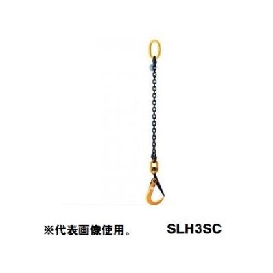 SUPER TOOL スーパーツール チェーン付スーパーロックフック SLH3SC 3 