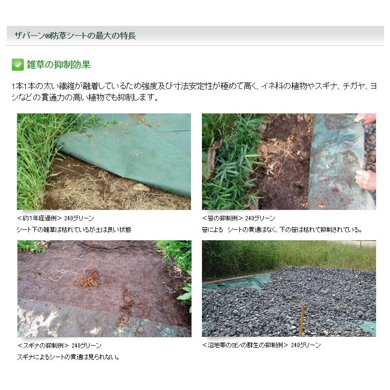 Xavan 送料無料!!(但し、北海道・沖縄・離島除く)デュポン Xavan 送料無料!!(但し、北海道・沖縄・離島除く)デュポン