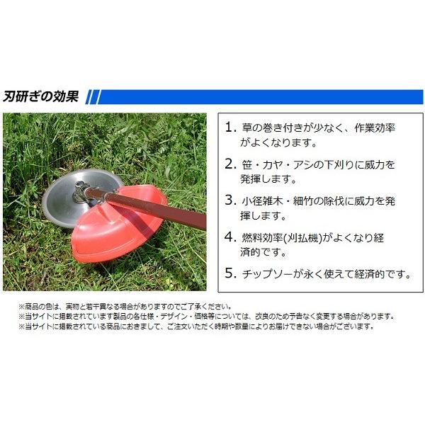 ニシガキ工業 カンタン刃とぎ N-840 草刈用チップソー研磨機 : e