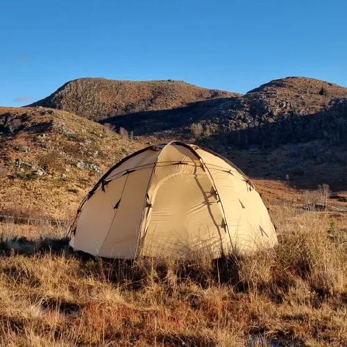 NORTENT ノルテント ギャム8 テント ドーム型 ゴールド Arctic NORTENT ノルテント ギャム8 テント ドーム型 ゴールド Arctic