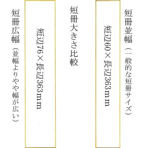 書道用品 短冊 並幅 金潜 銀潜紙 特上 まとめ買い１０枚入り p 大色紙 小色紙 1 ４色紙 寸松庵色紙 短冊 p 書道用品 和画材ユニカ 通販 Yahoo ショッピング