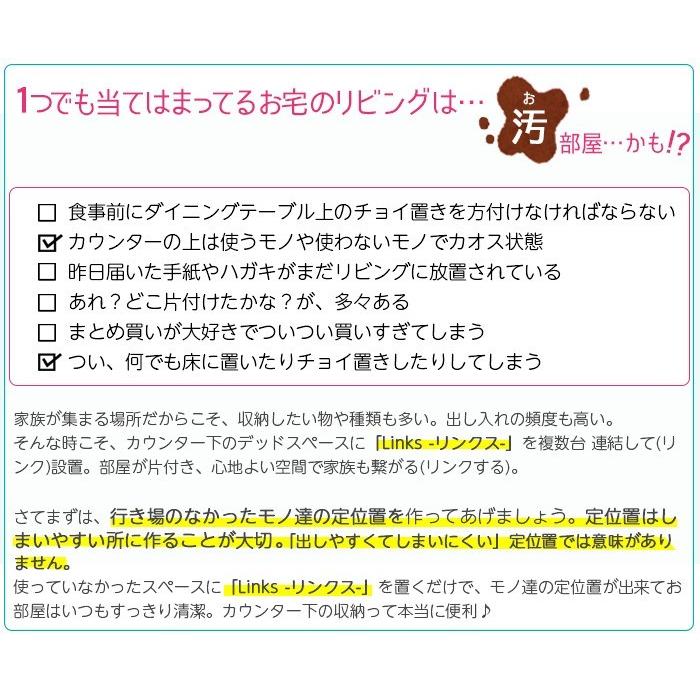 カウンター下収納 Links リンクス 食器棚 ロータイプ 120D お子様のいる家庭でも安心して使える 幅120cm 扉タイプ エール120D｜e-unit｜03