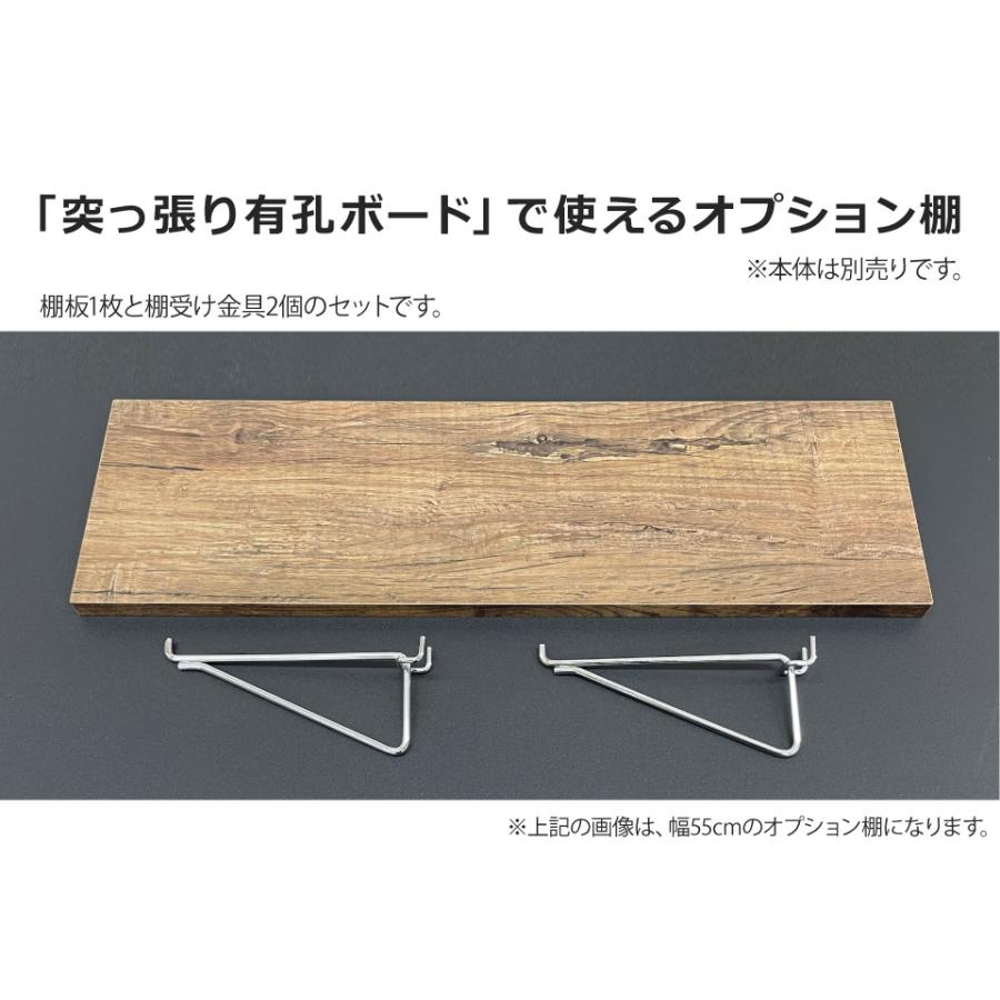 オプション棚 幅55cm 単品 本体別売り 突っ張り有孔ボード 壁面収納 パンチングボード 25mm 見せる収納 キャンプ収納 釣り具収納 書斎 ワークスペース 玄関 廊下 |  | 01