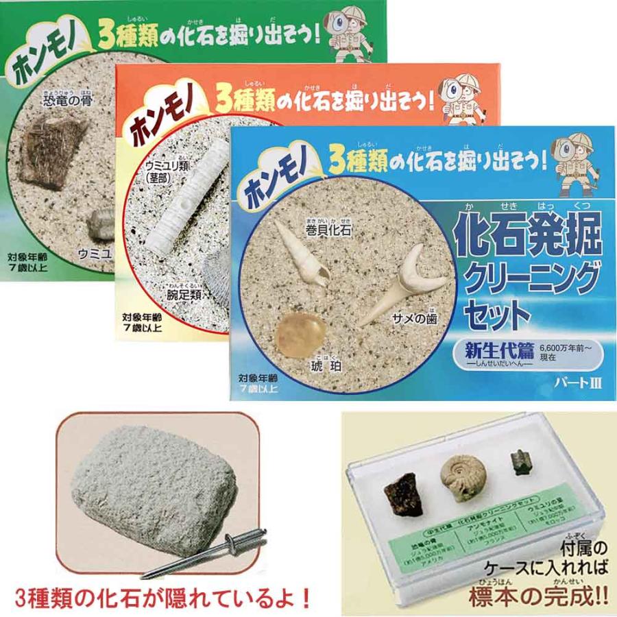 自由研究 本物の化石 化石発掘クリーニングセット コンプリート3種