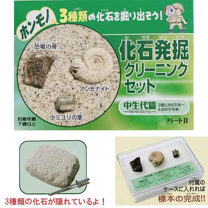 自由研究 本物の化石 化石発掘クリーニングセット コンプリート3種