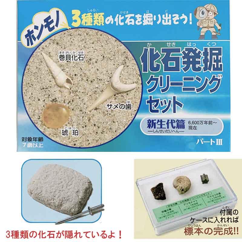 自由研究 本物の化石 化石発掘クリーニングセット コンプリート3種