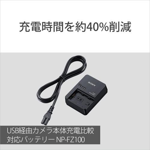 ソニー ACC-QZ1K アクセサリーキット BC-QZ1とNP-FZ100のスターター
