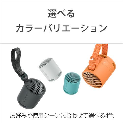 ソニー SRS-XB100 HC ワイヤレスポータブルスピーカー ライトグレー