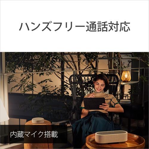 【希少】 ソニー HT-AX7 ポータブルシアターシステム グレー 【G1095977980】(38500円)