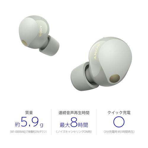ソニー ワイヤレス イヤホン 左右分離 ハイレゾ ノイズキャンセリング