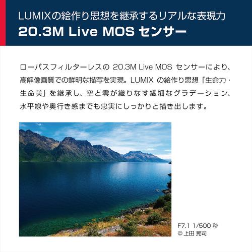 【公式】 【推奨品】パナソニック DC-G99D LUMIX G99 ボディ デジタル一眼カメラ ブラックDCG99D 【IQY1162495733】(40837円)