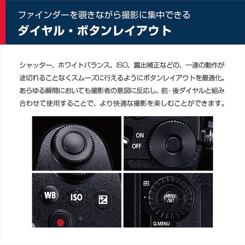 【公式】 【推奨品】パナソニック DC-G99D LUMIX G99 ボディ デジタル一眼カメラ ブラックDCG99D 【IQY1162495733】(40837円)