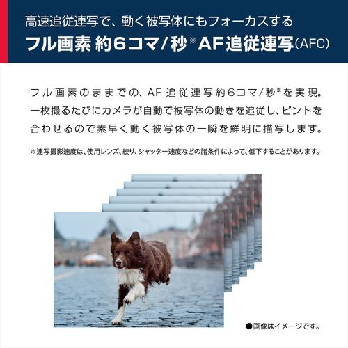 【公式】 【推奨品】パナソニック DC-G99D LUMIX G99 ボディ デジタル一眼カメラ ブラックDCG99D 【IQY1162495733】(40837円)