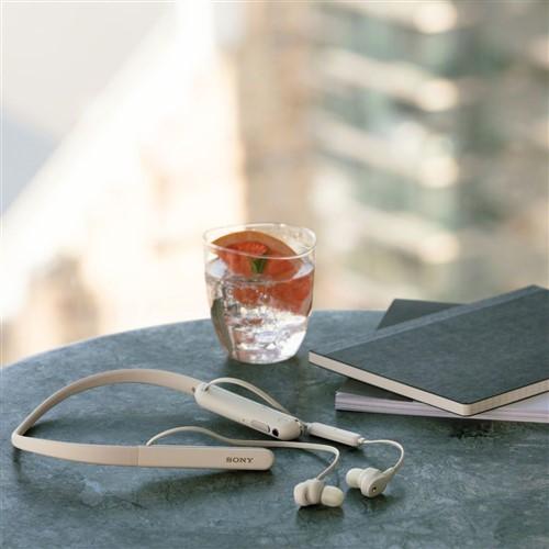 現品発送 ソニー WI-1000XM2SM ワイヤレスノイズキャンセリング プラチナシルバー 【EIM7358067769】(25848円)