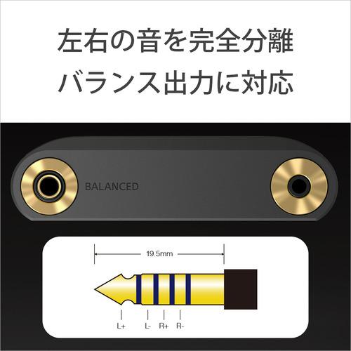 ソニー NW-WM1AM2 ハイレゾ音源対応ウォークマン WM1シリーズ Signature Series 128GB ブラック_10